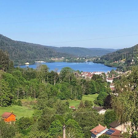 F3 Superbe Vue Lac, Grand Balcon, Ambiance Nature Gérardmer Екстериор снимка