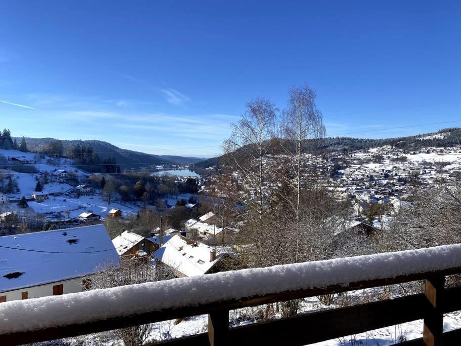 F3 Superbe Vue Lac, Grand Balcon, Ambiance Nature Gérardmer Екстериор снимка
